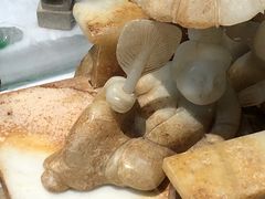 -游龙石文化科普馆