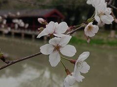 -堤角公园