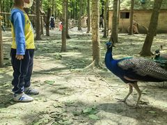 -昆山城市生态森林公园