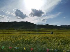 -扁都口生态休闲旅游区