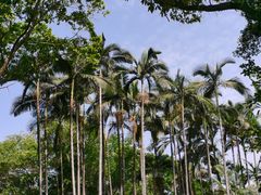 -人民公园(罗湖区)