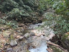 -莫里热带雨林景区