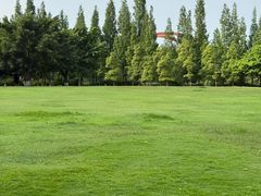 -成都南湖公园