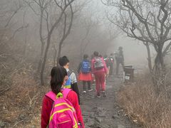 -阳台山自然风景区