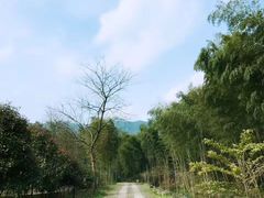 -黄公望隐居地