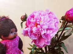 -循礼门鲜花花市(武汉循礼门店)