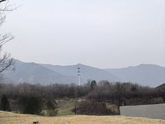 -秦始皇帝陵博物院-丽山园