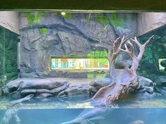 -海合安成都极地海洋公园