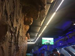 -很久以前羊肉串(大华三路店)