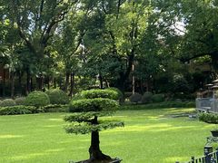 -申粤轩酒楼·三十年粤菜经典(丁香花园店)