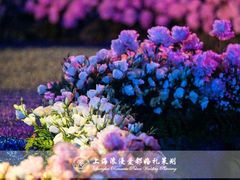 上海浪漫爱都婚礼策划-上海中兴和泰酒店(张江高科地铁站店)