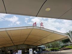 -德宏芒市国际机场