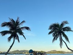 -JW万豪厨房餐厅·滨海草坪烧烤·海鲜·海景(三亚绿发山海天JW万豪酒店)