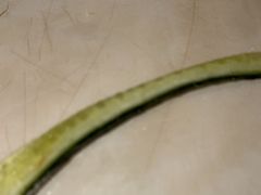 -一哥澳门豆捞·澳门风打边炉(高德置地店)