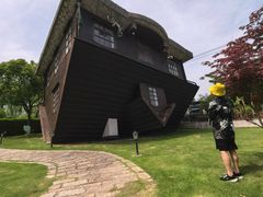 -金山农民画村-枫泾波兰倒置屋