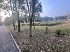 -东郊湿地公园
