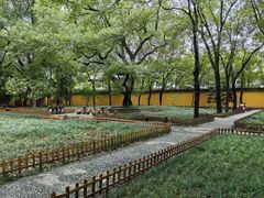 -西园戒幢律寺