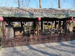 -合肥滨湖国家森林公园