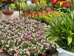 -信基豪泰酒店用品城