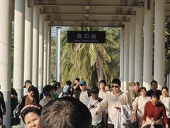 -海口站