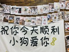 -星多哈·狗咖·拼豆·咖啡
