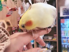 -藦茜花园宠物主题亲子互动体验馆(国顺东路店)