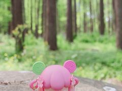 -上海共青森林公园