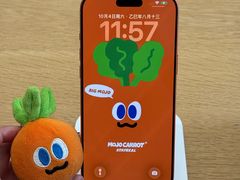 -Apple零售店(苏州店)