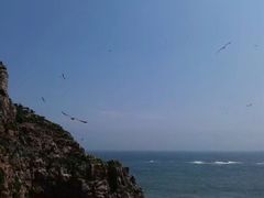 -海驴岛(荣成市)