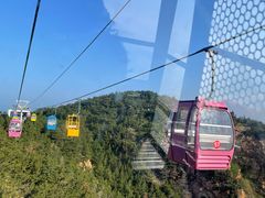 -摩天岭风景区