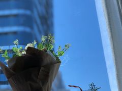 -美斯烘焙培训学院•蛋糕•面包•咖啡(宝安校区)