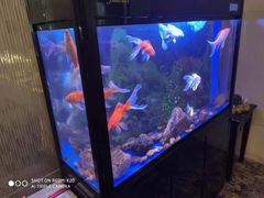 -宜昌富力皇冠假日酒店·咖啡1号西餐厅