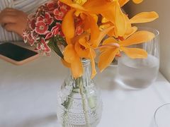 -蝶舍·MAISON PAPILLON