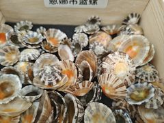 -万达广场(武汉菱角湖店)