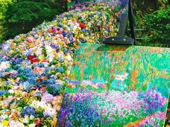 -上海共青森林公园