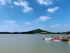 -上海月湖雕塑公园