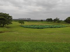 -盘龙城国家考古遗址公园