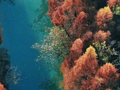 -桤木河湿地公园