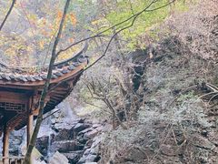 -藏龙百瀑风景区