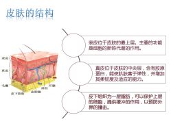 -上海漾颜医疗美容