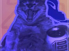 -燥次·烧烤酒场(万象城店)