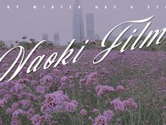 -深圳湾公园(南山区)