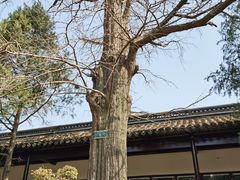 -苏州文庙(姑苏区)