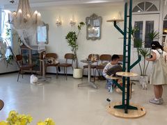 -共舞时光猫咖·狗咖(新街口店)