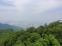-紫金山天文台