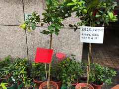 -广州白云国际机场-T2航站楼