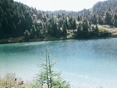 -武陵山森林公园