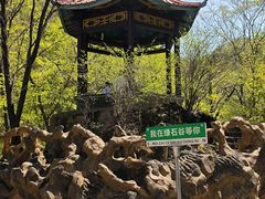 -本溪汤沟绿石谷森林公园