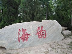 -大港湿地公园