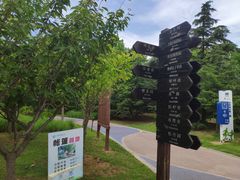 -羊亭河湿地公园